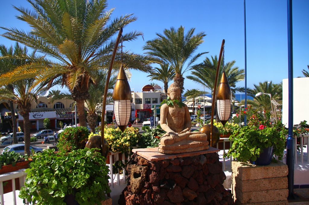 Playaflor Chill Out Resort A 50 Mtrs De La Playa (Adults Only) Playa de las Americas  Exterior foto